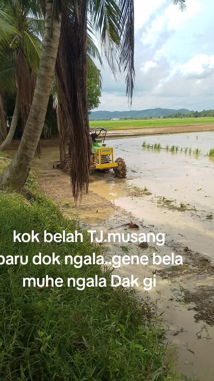 @pakwan