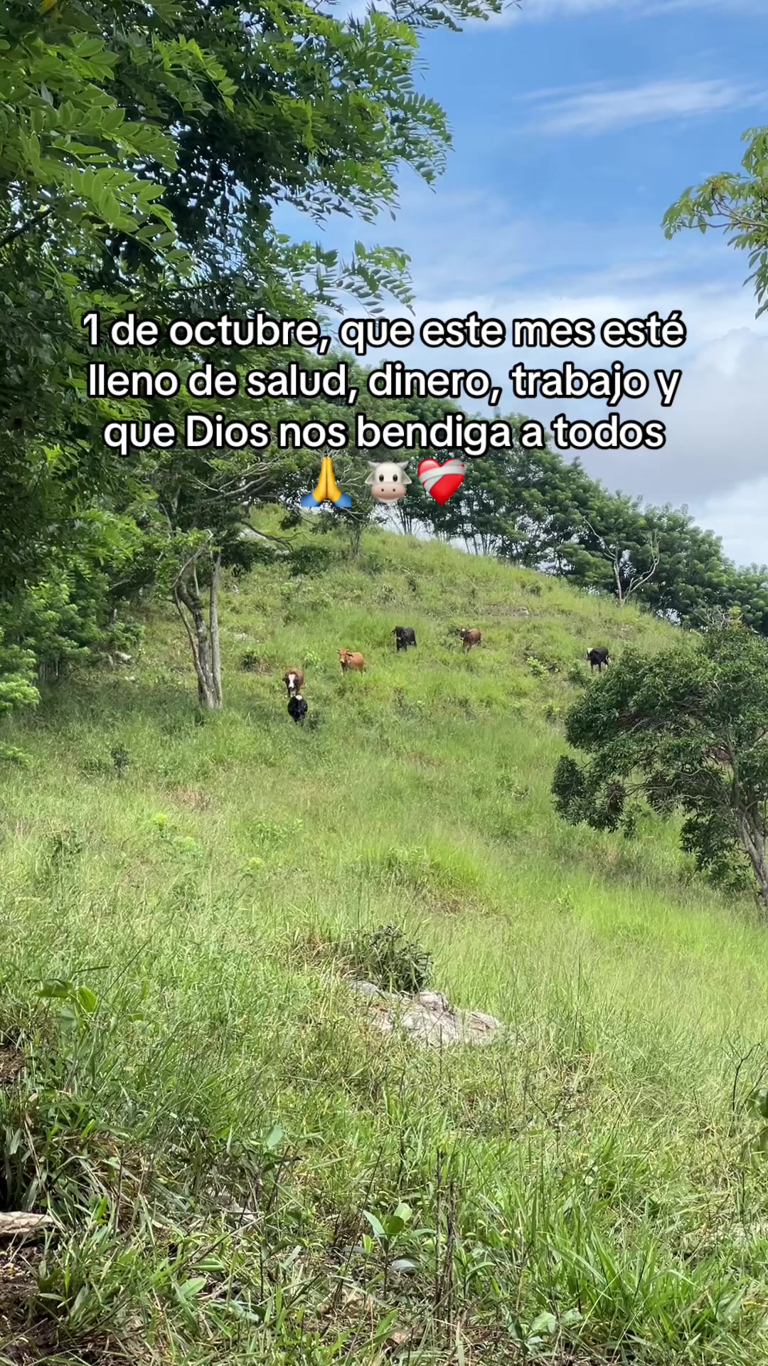 @ALVAREZ 🤠♥️