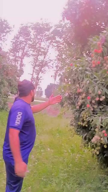 @sajjidwahla1@gmail.com