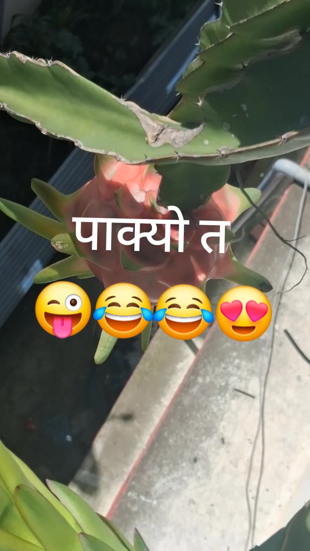 @ramkrishna