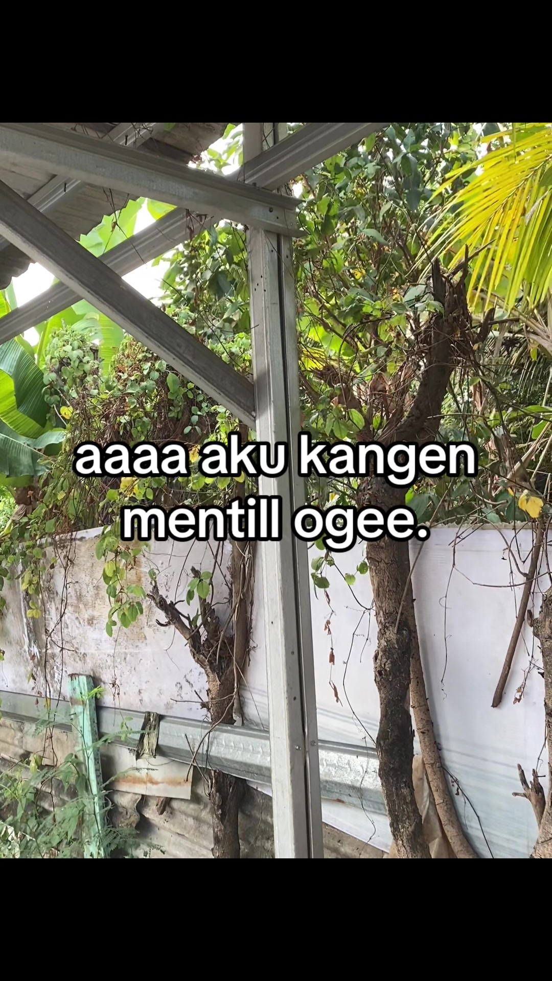 @Bangkrriii