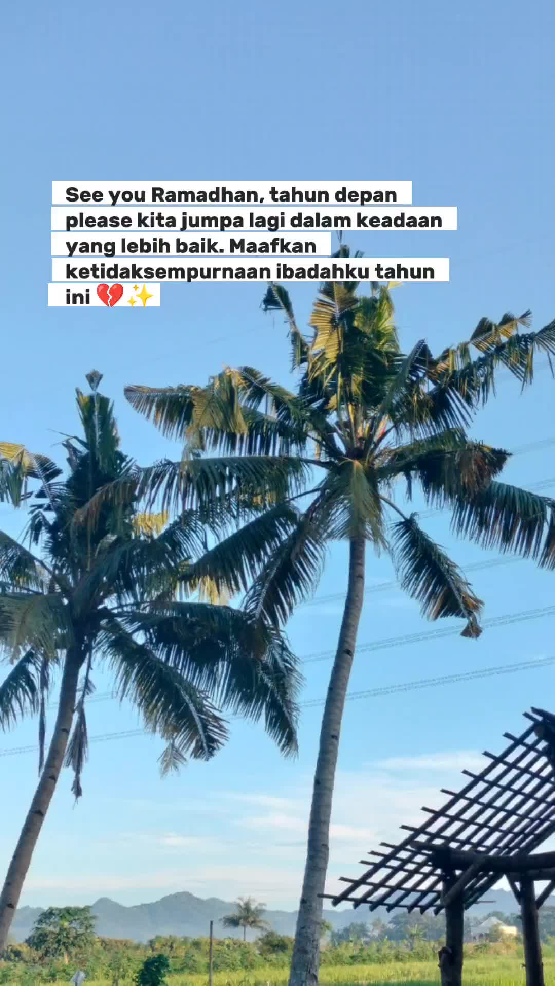 @nhida29