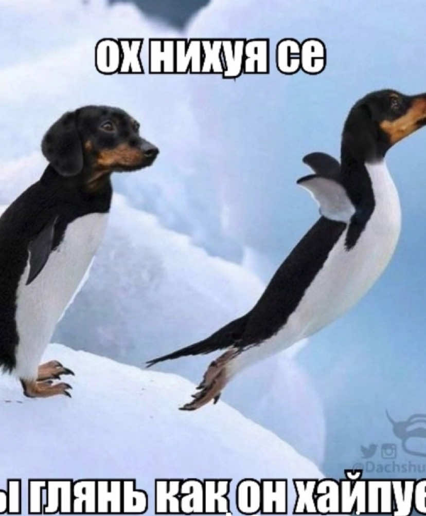 @сл, Миам