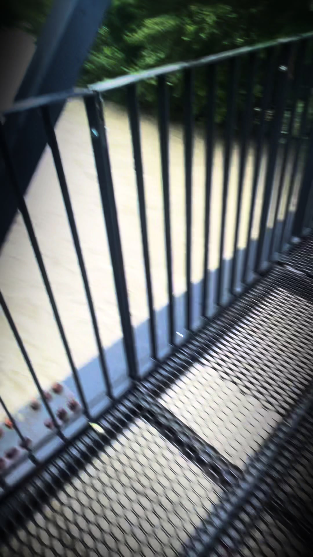 @hzzz.diiii