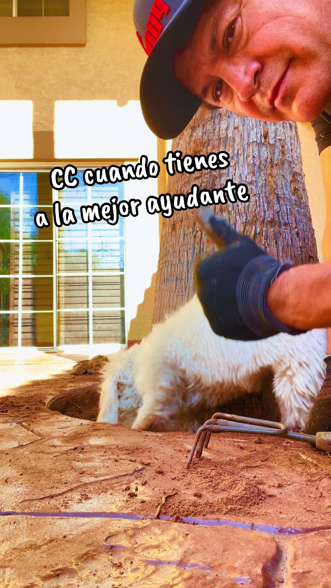 @Alfredo García