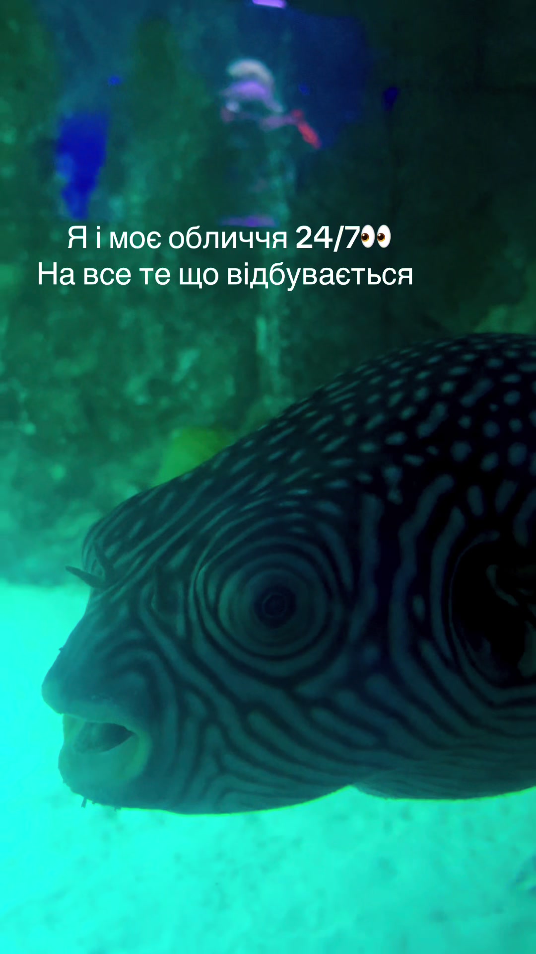 @Лика Орлова