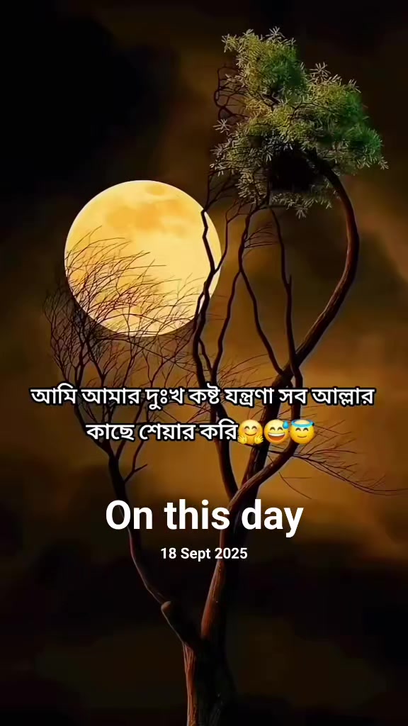@Raiyana Noor