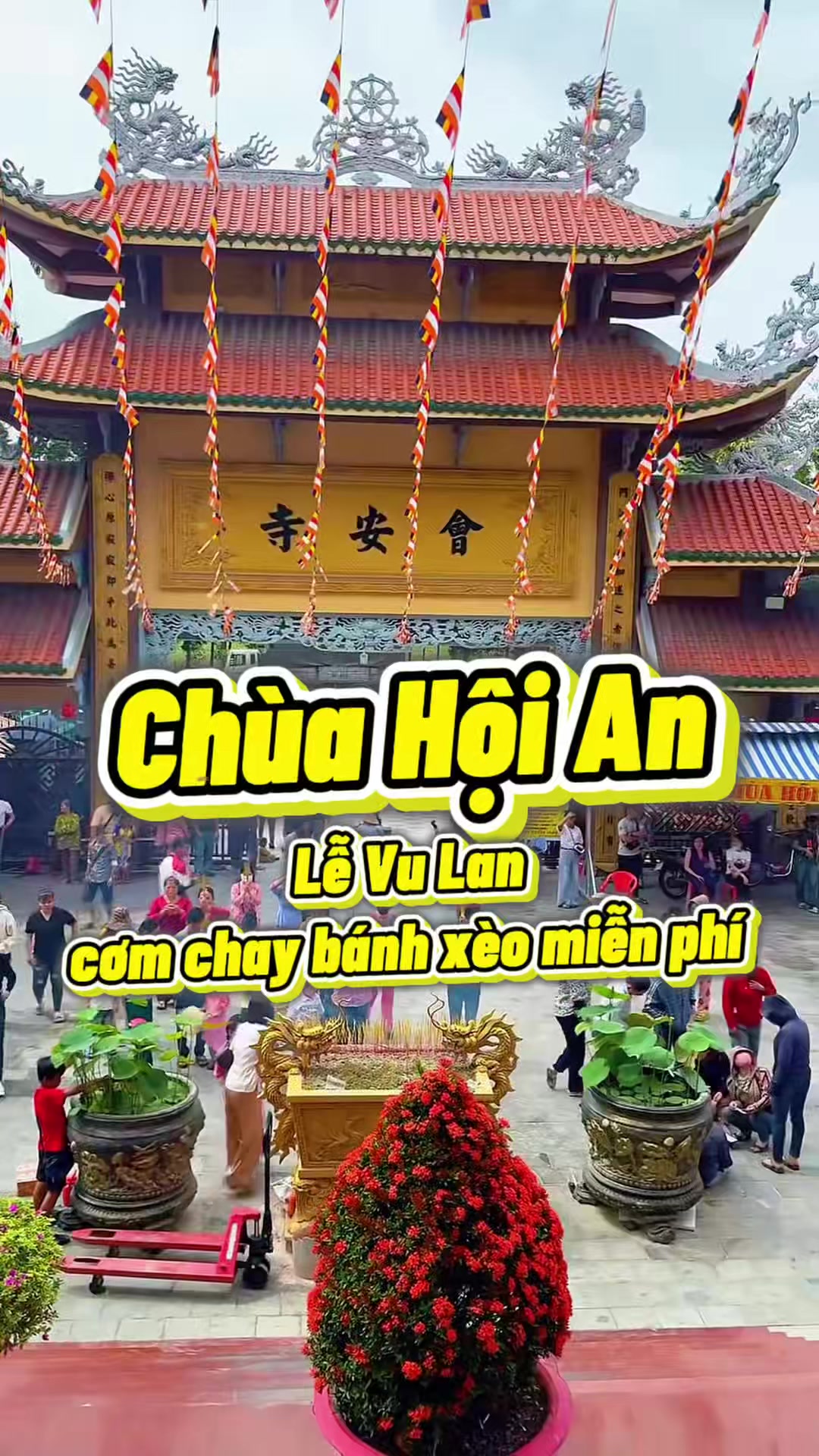 @RÌ VIU BÌNH DƯƠNG