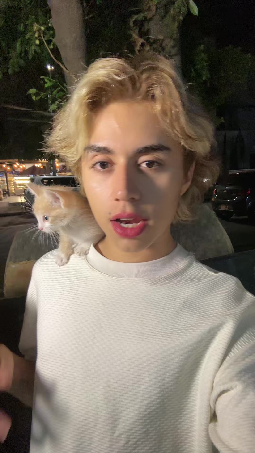 @Harold Colucci 🦩