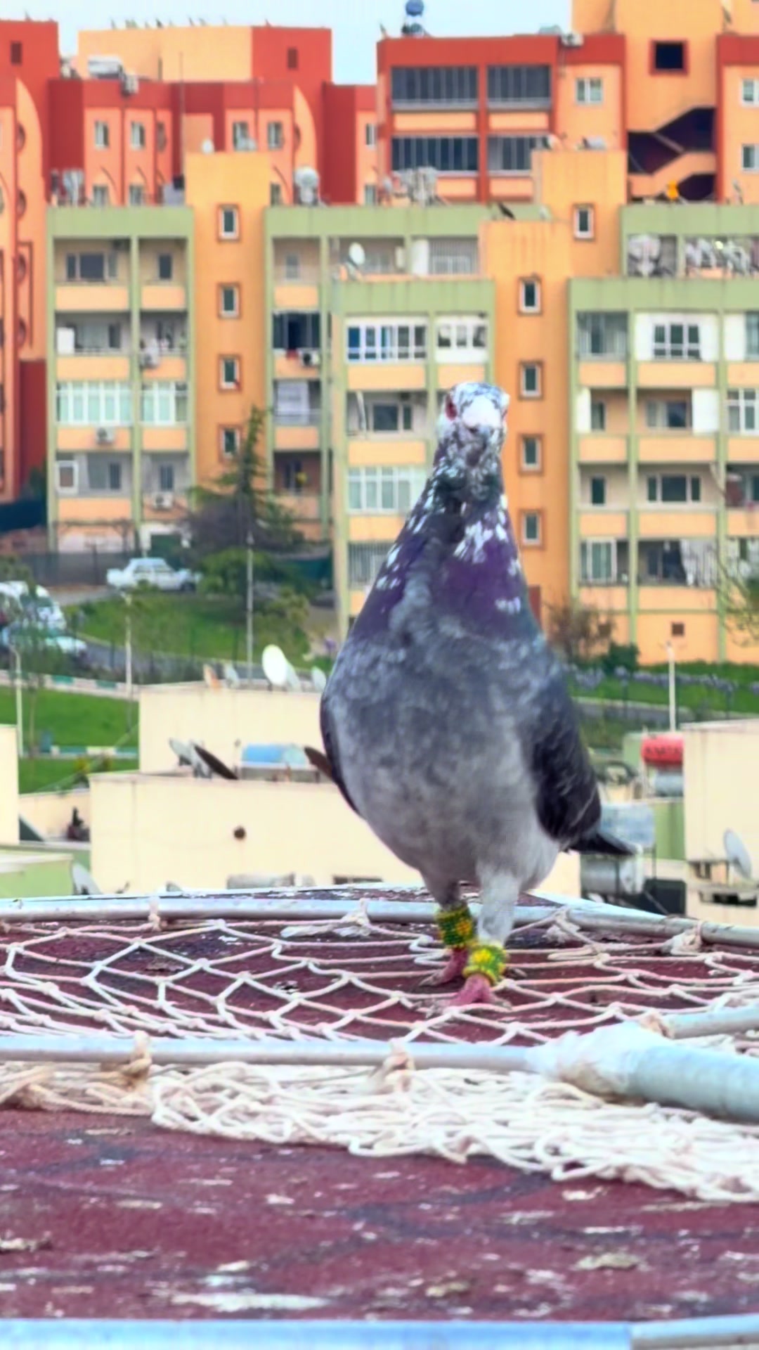 @Kadir Cengiz