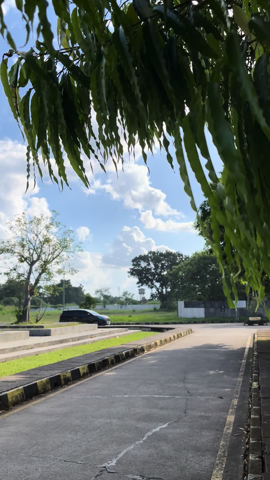@SDC.2gd