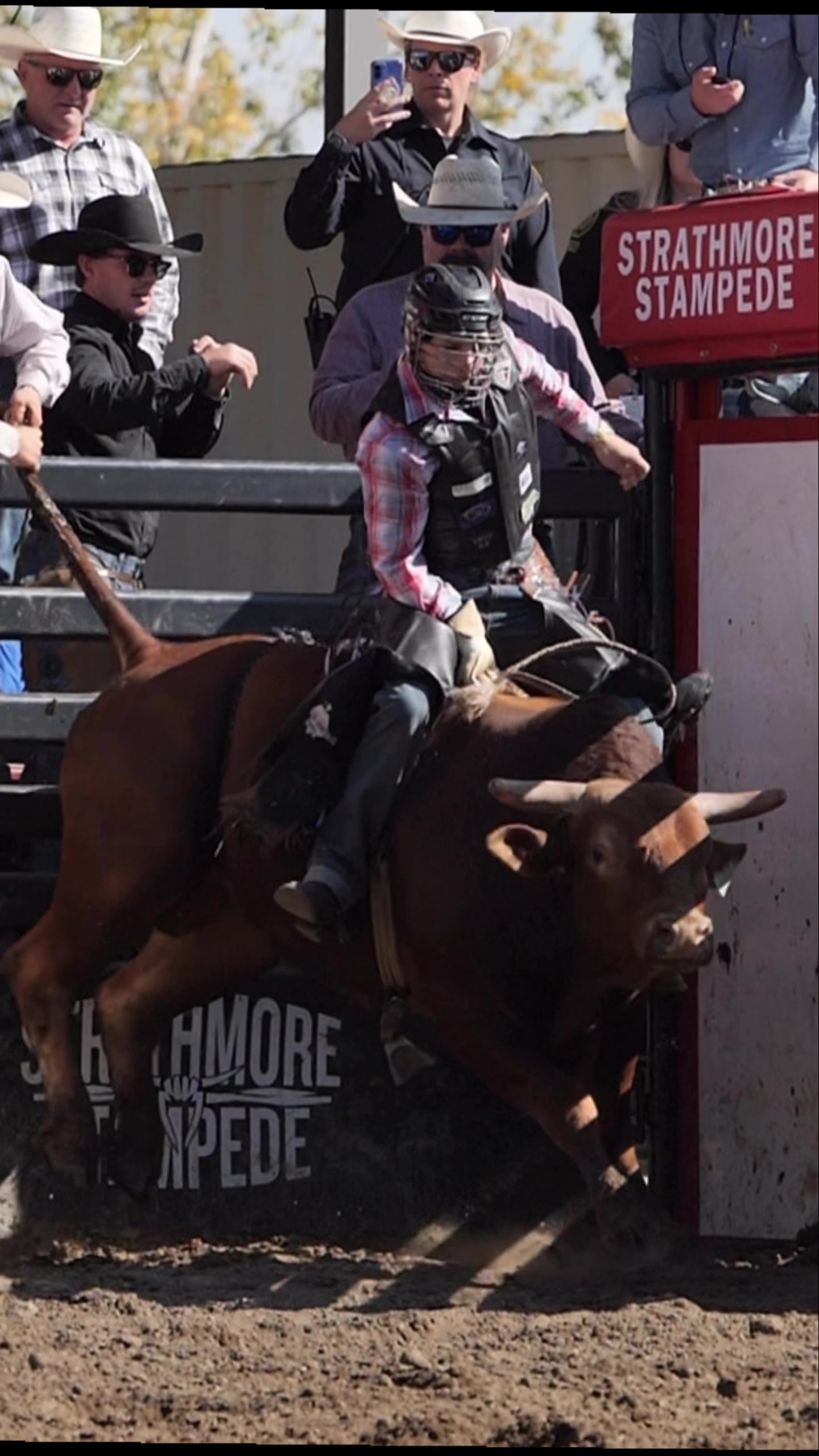 @Lazy P Rodeo