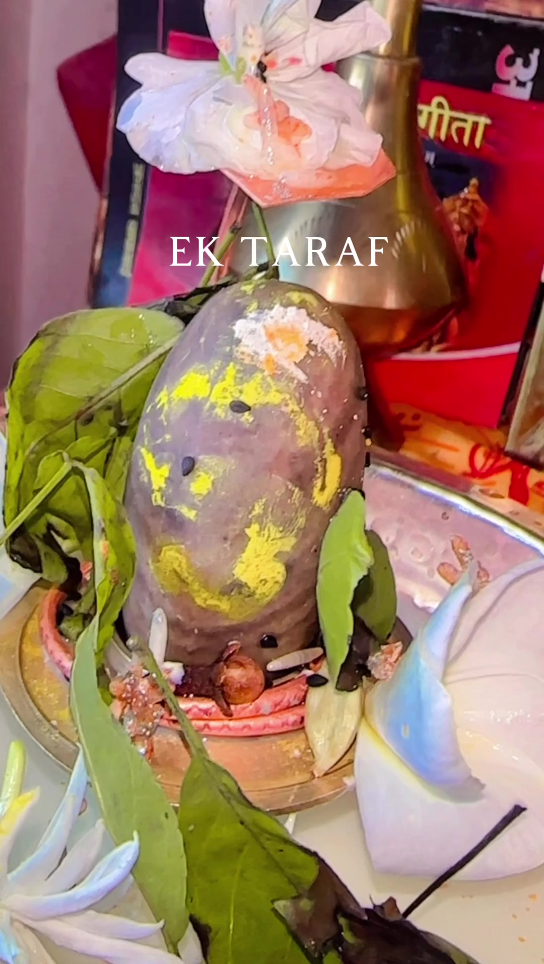 @Ruksha Rani Acharya