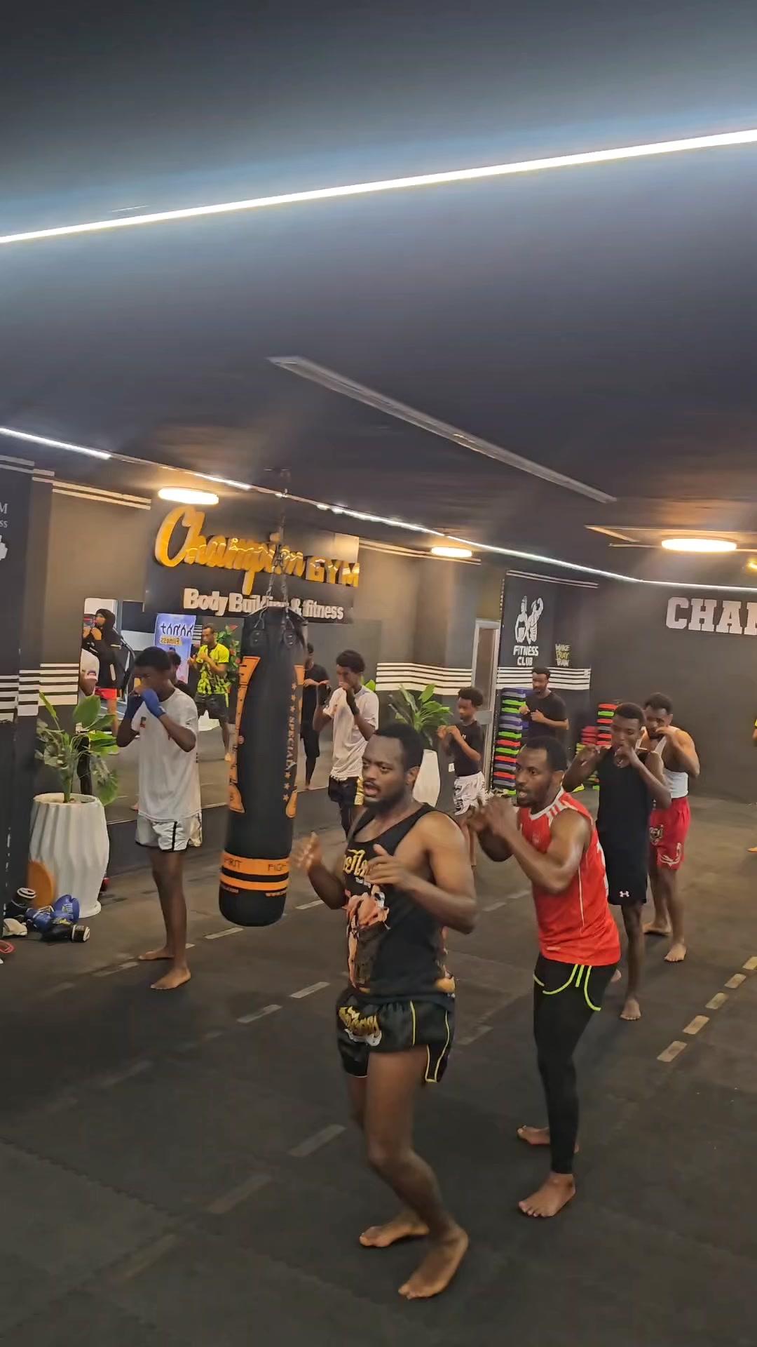 @Tedi shadow muay thai