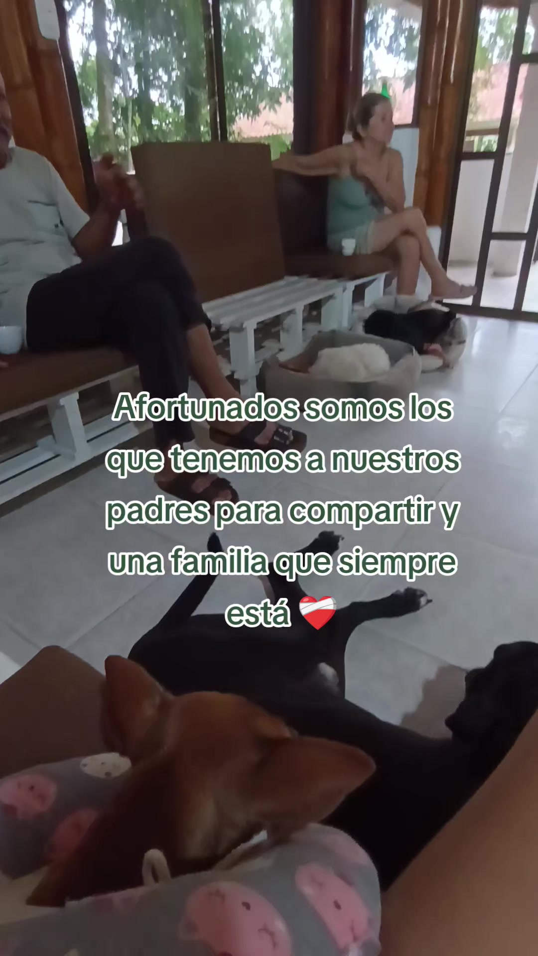@YOGUI