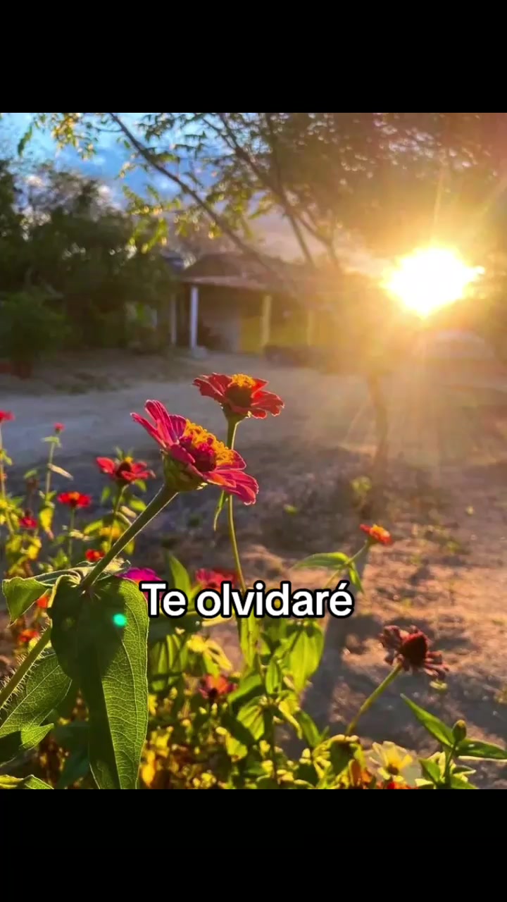 @Lucía Ruiz