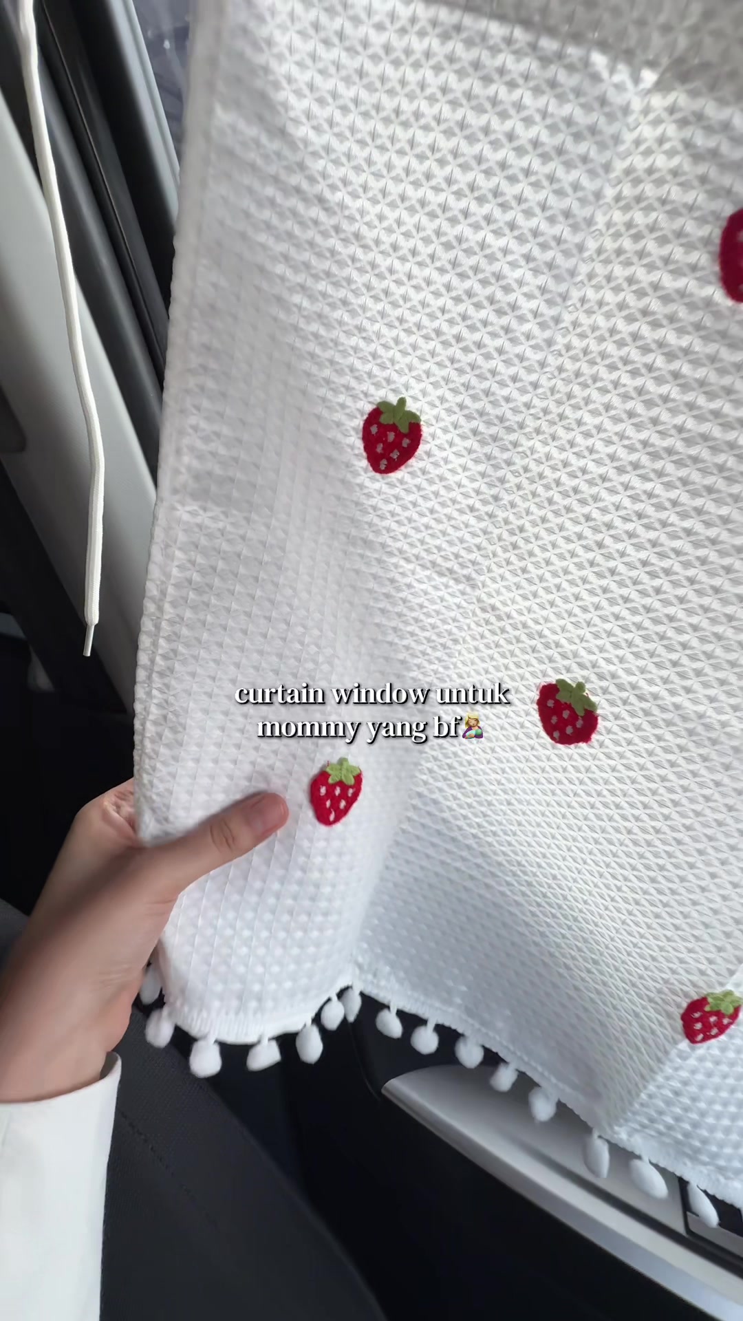 @anissofeaa 🐆