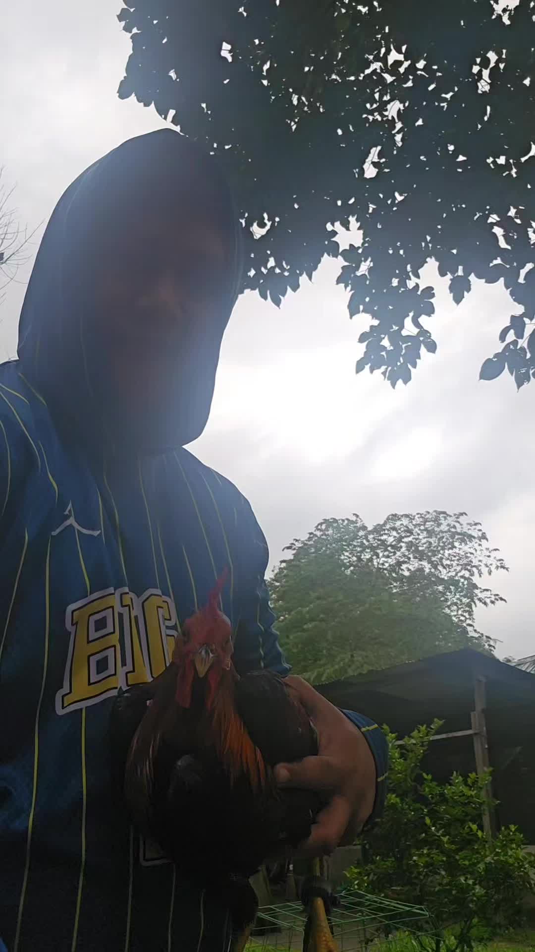 @Big J Gamefarm