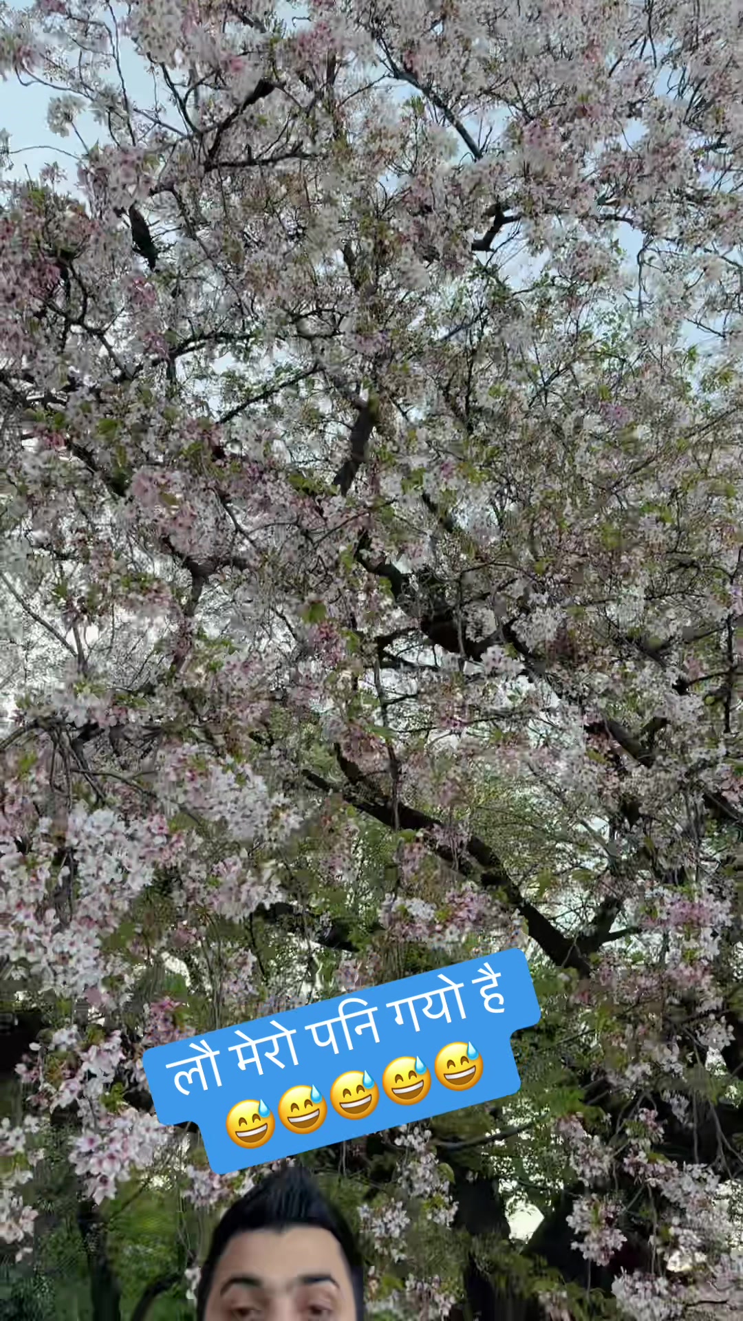@🇳🇵बागलुंगे दमेकी कान्छो 🇯🇵