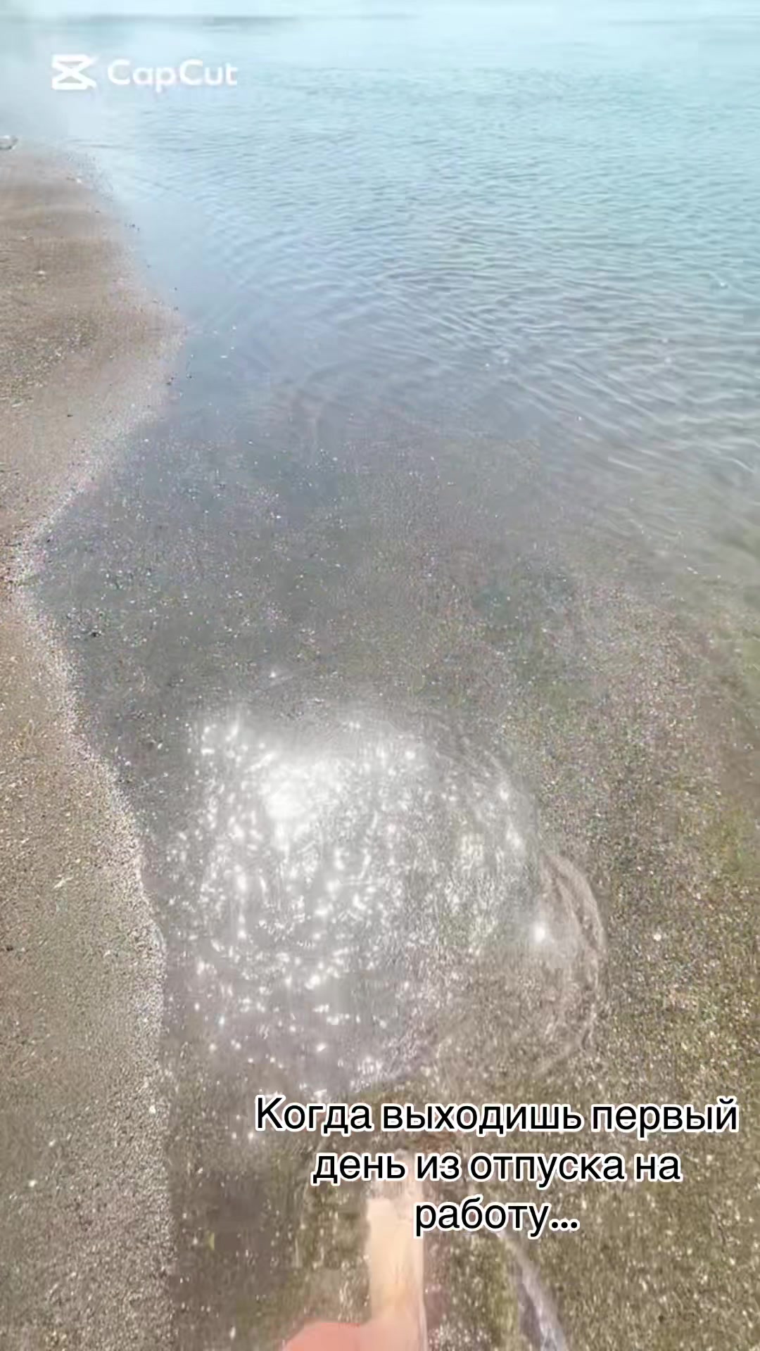 @Татьяна Масальская