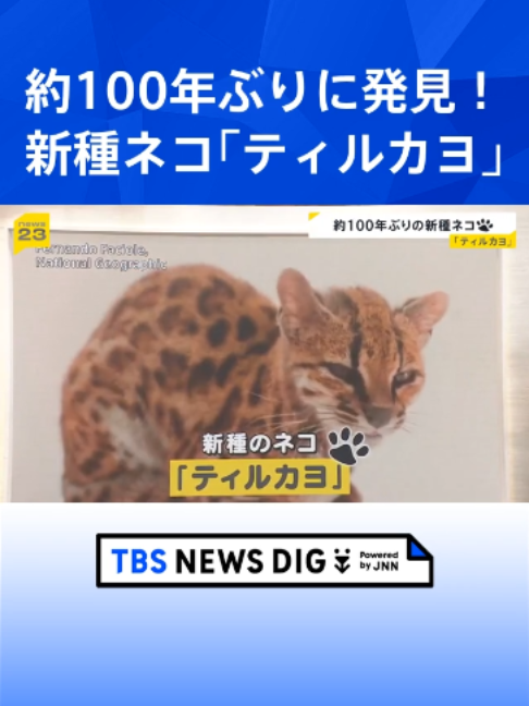 @TBS NEWS DIG Powered by JNN