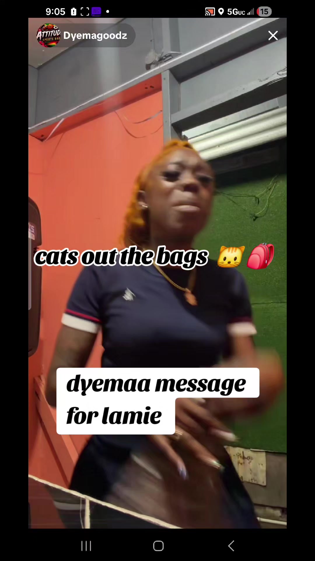 @cats out  the bags 🐱🐱🐱🐱🐱