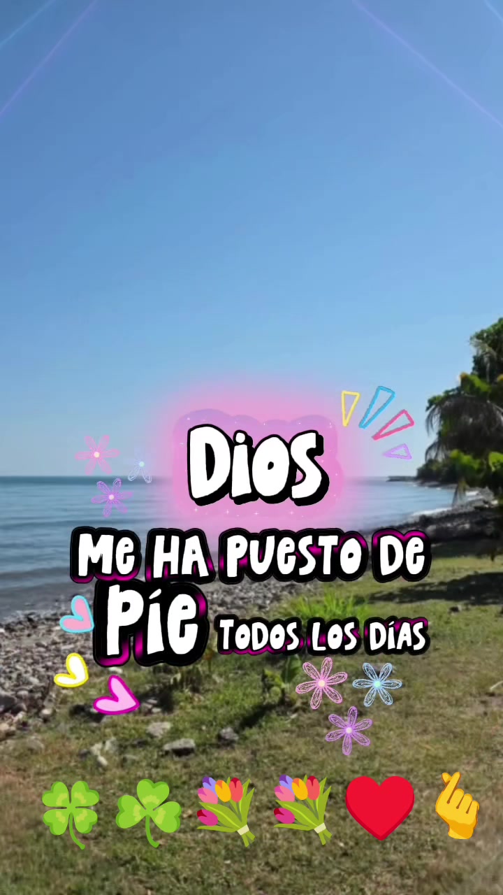 @margarita nolasco