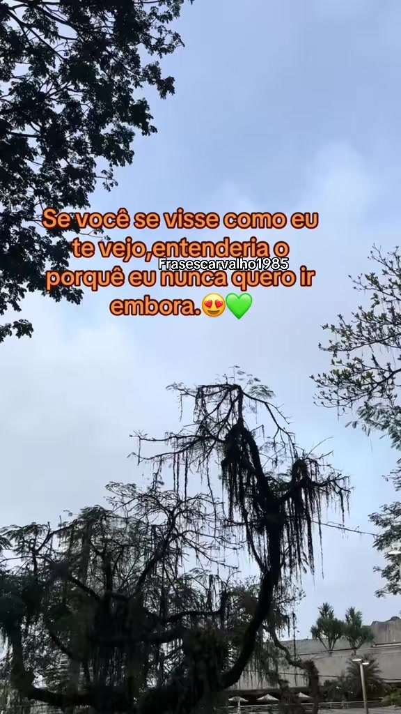 @FrasesCarvalho1985💚