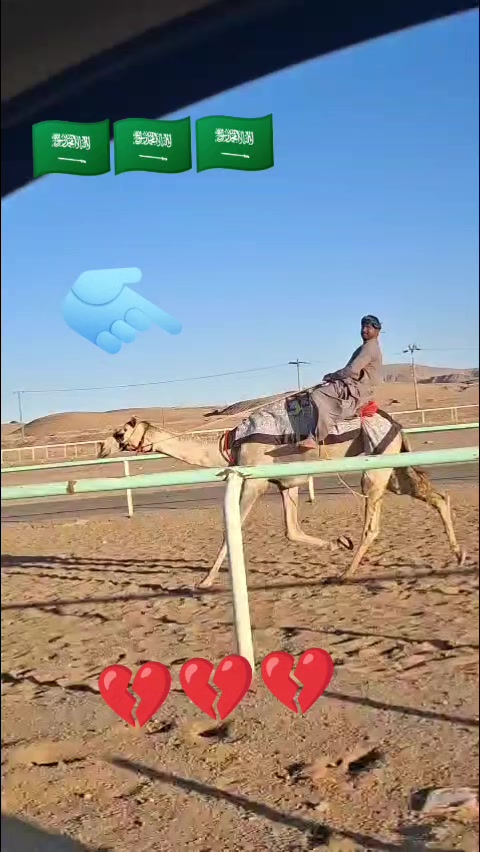 @sajjadalighamber