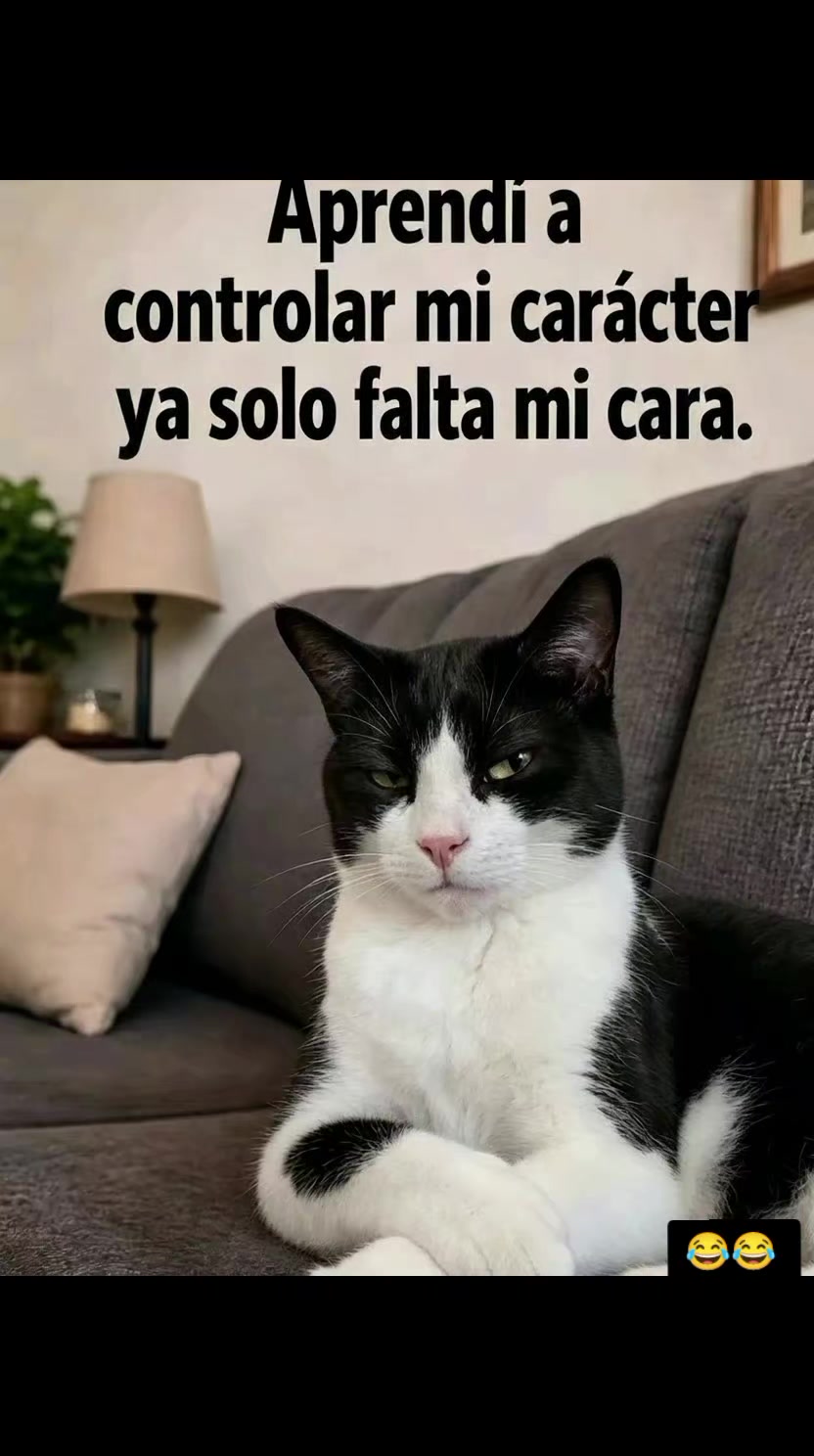 @memestristemariicruz🐈⬛ 🤣😔