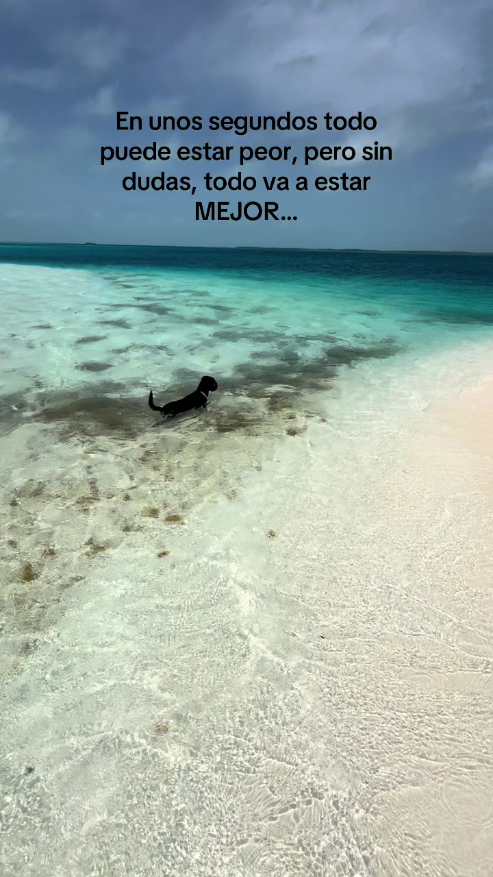 @Tuna Los Roques 🌵