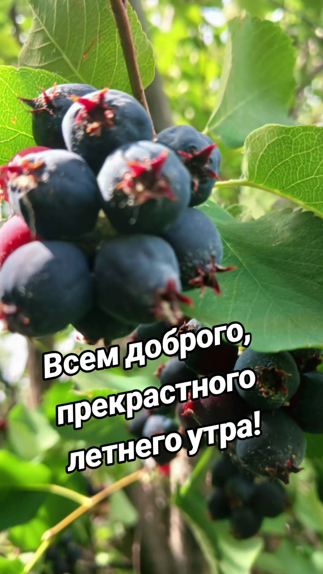 @ПавлоДЕрская