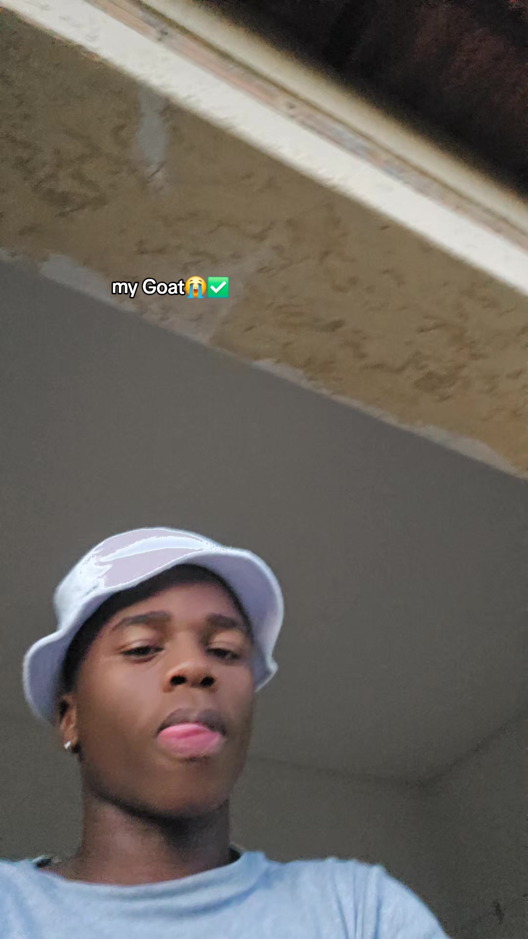@el_fenzoo🦉