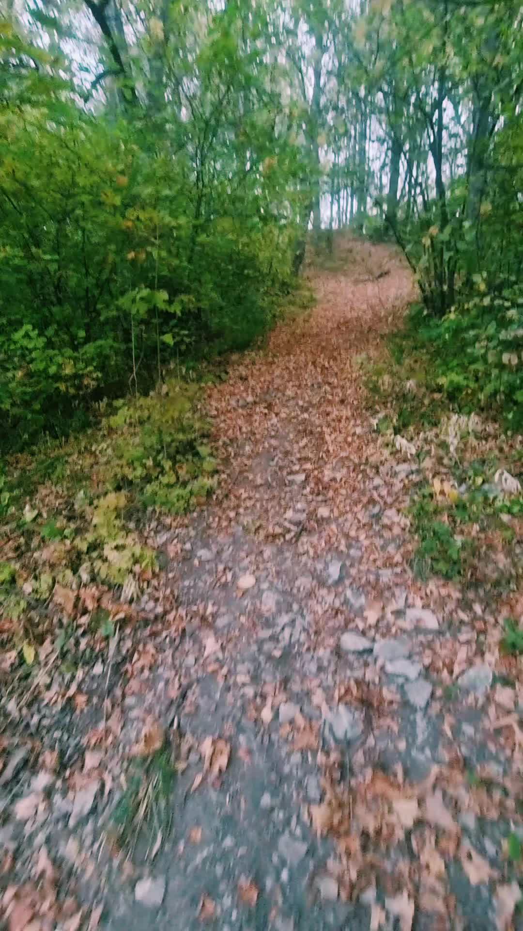@Коучер