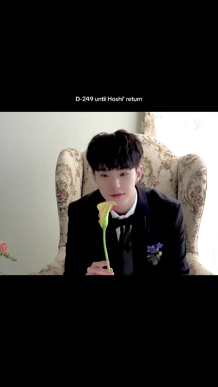 @carat17_diary