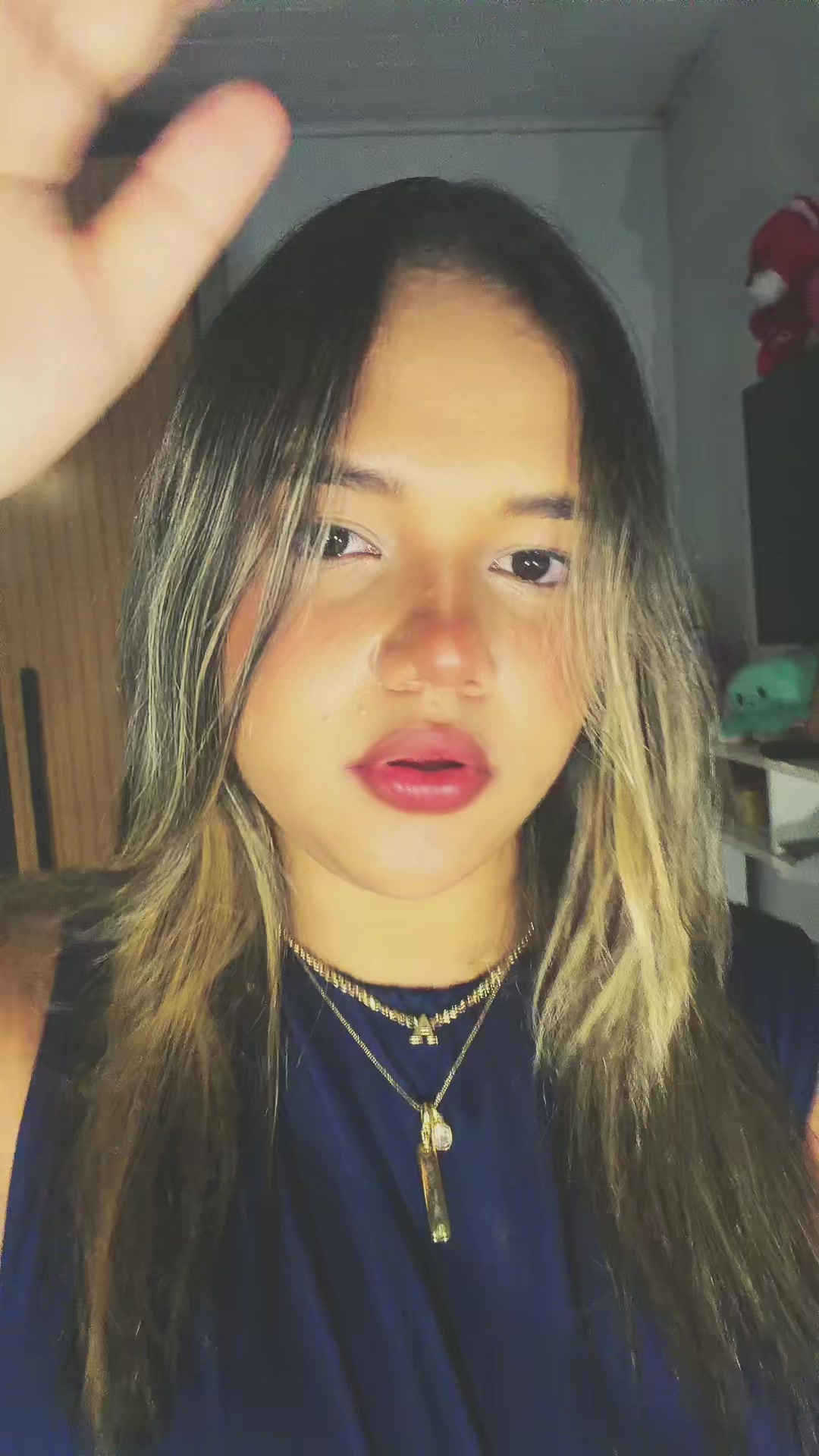 @vitoria.santos4521