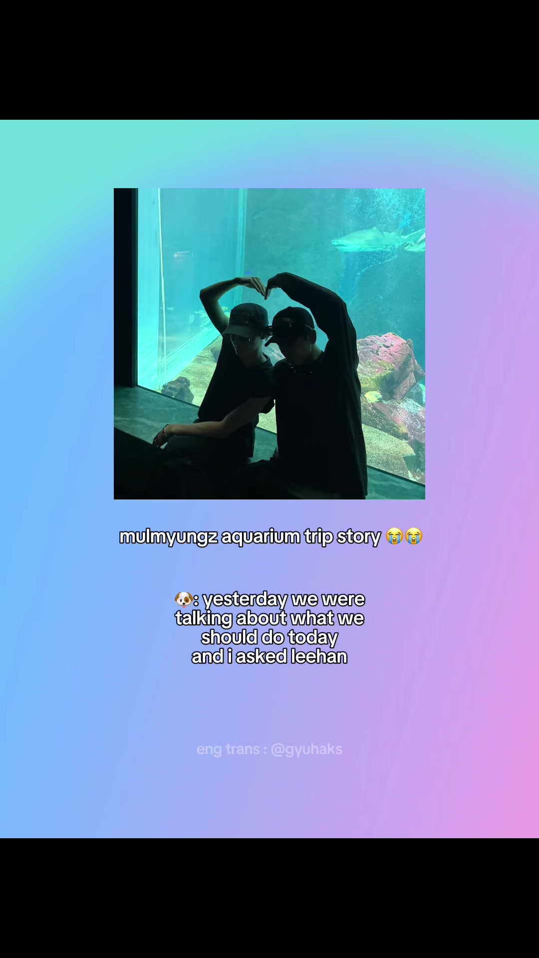 @gyuhaks 🐶🧸