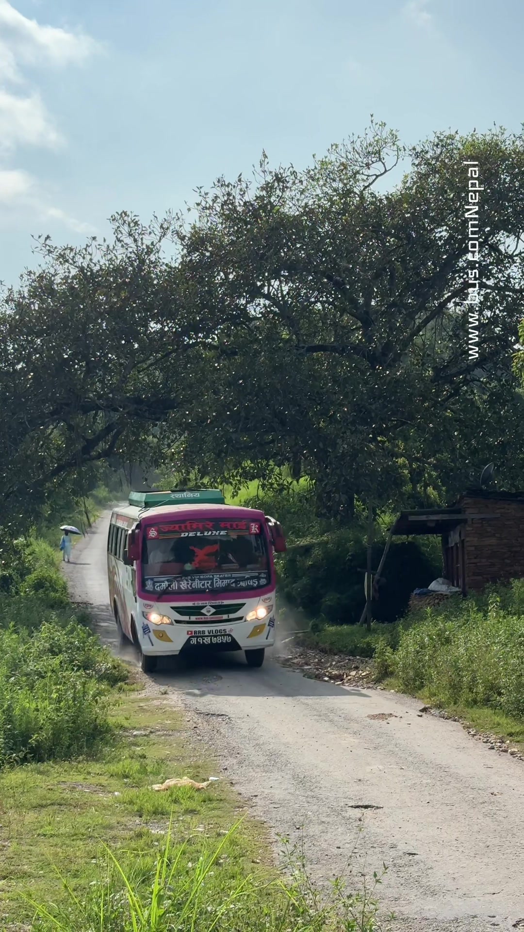 @www.bus.comnepal