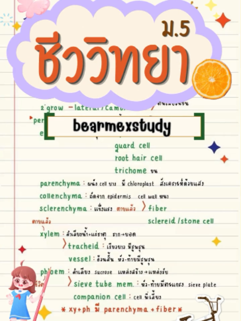@clearnote_thailand