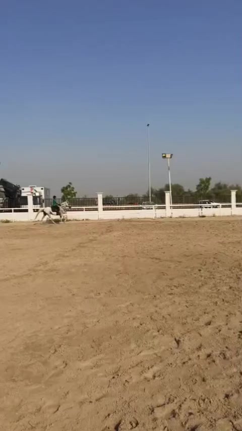 @Bassant El Dowaik