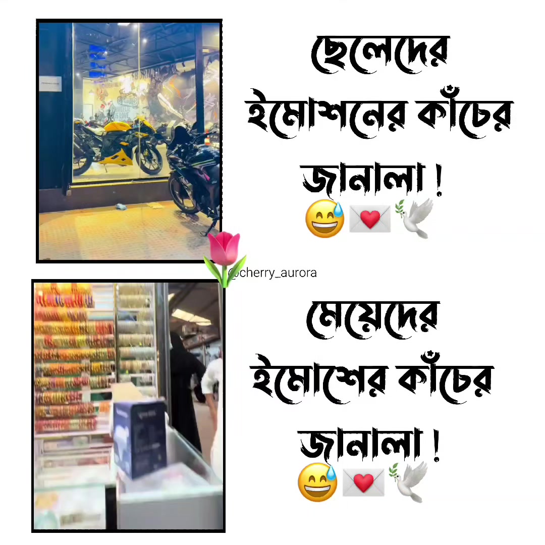 @˖ ִֶָ 𝗔𝘂𝗿𝗼𝗿𝗮 ୨୧ ऑरोरा 🩷