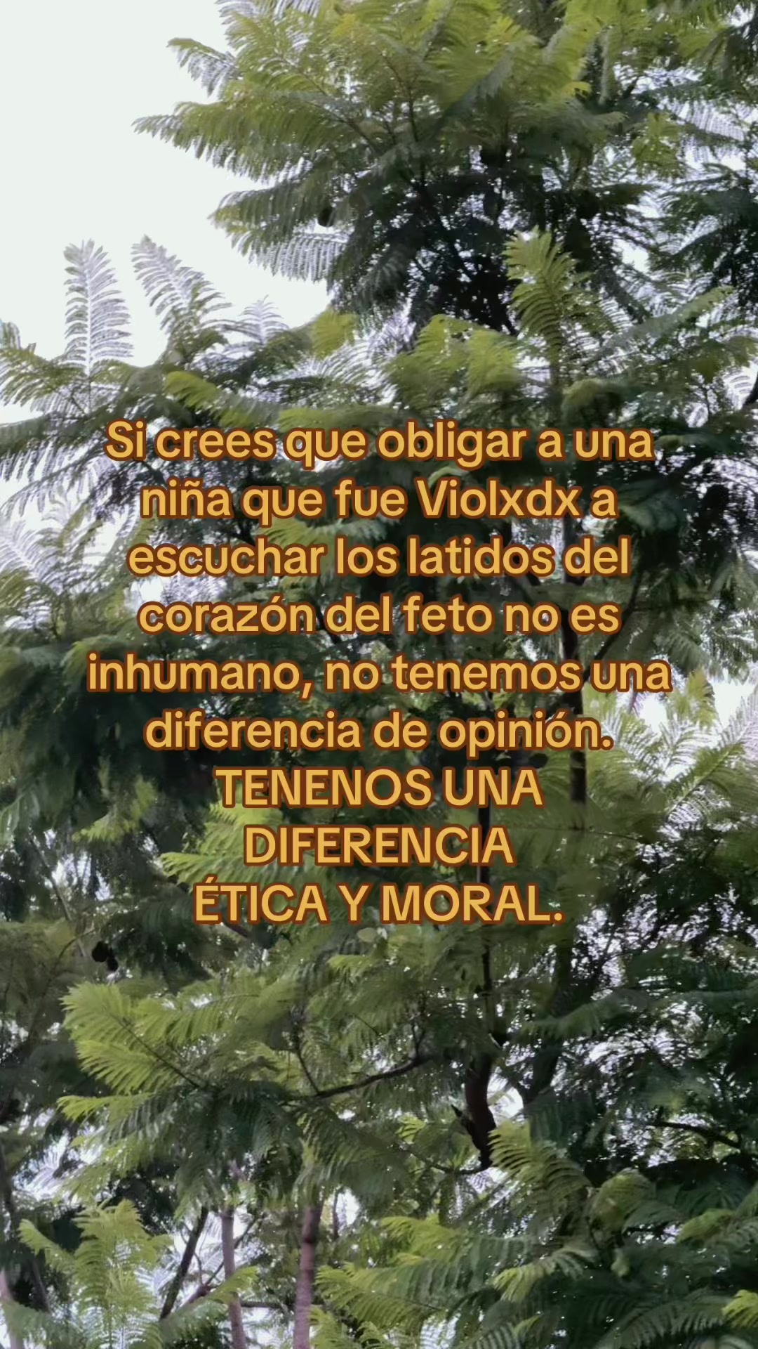 @Ana Fugitiva