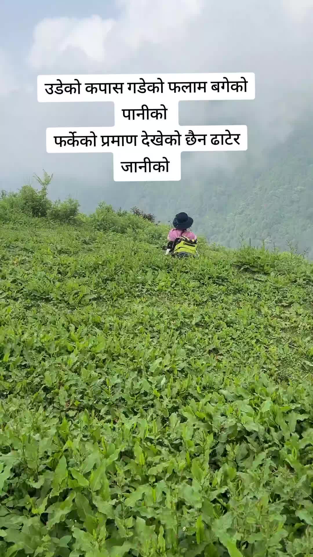 @Shashi Panta