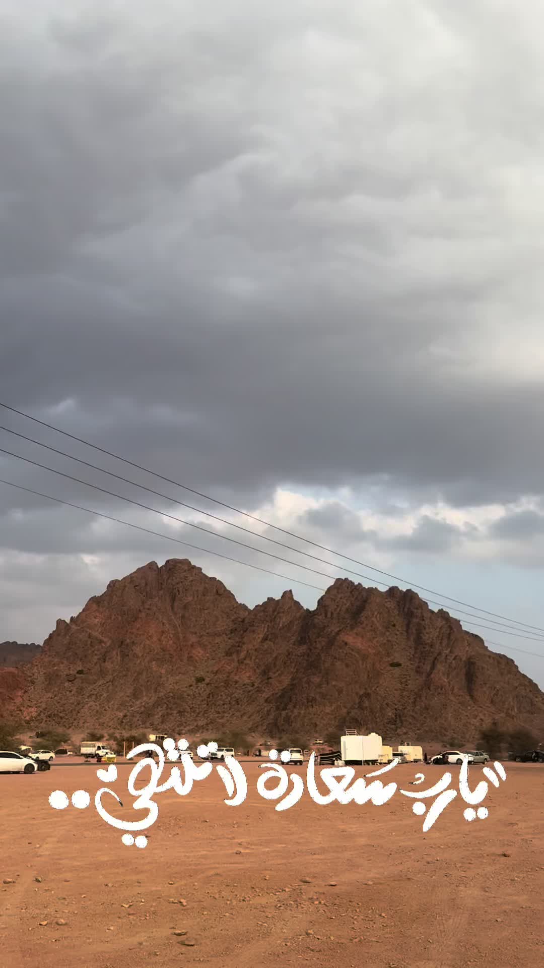 @كُاسه شاهيہ🫖