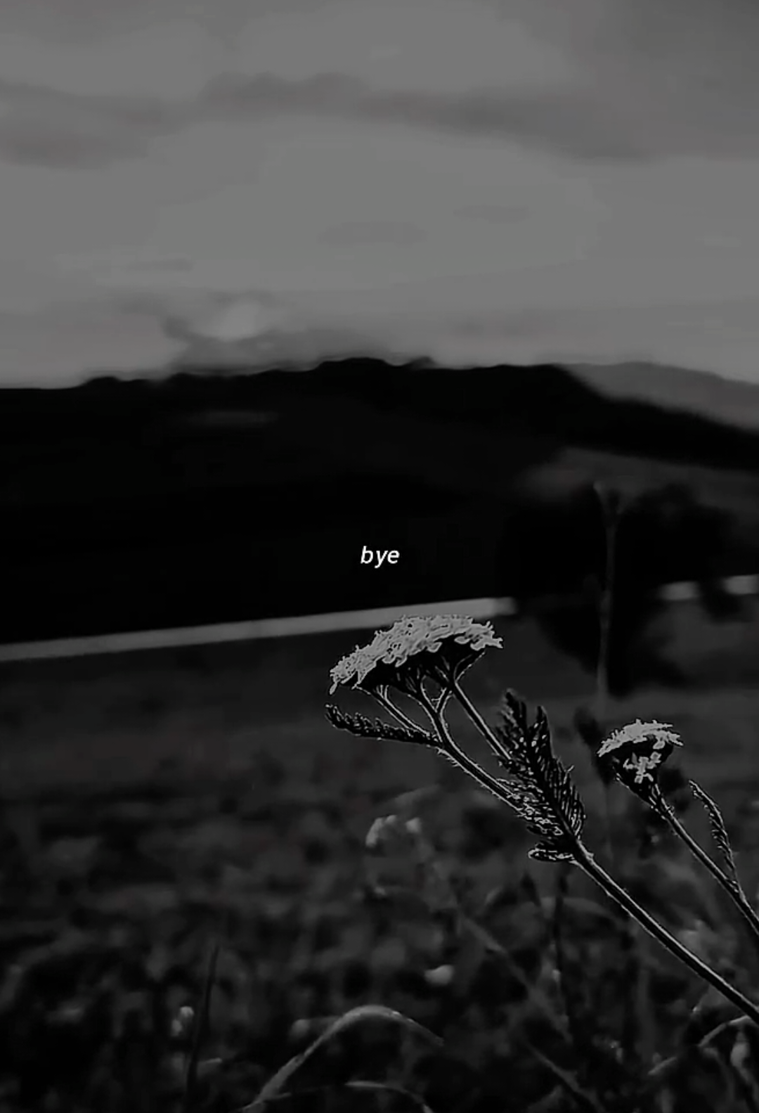 @🎧