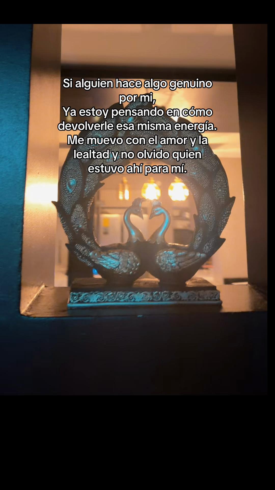 @wendyluana_oficial🩵