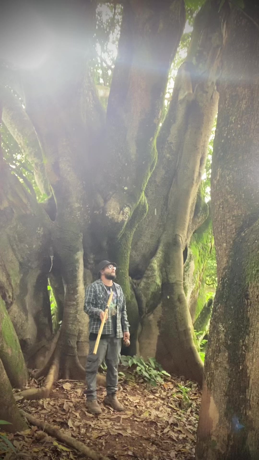 @SonsDaTerra🤍🦌🪶👽🏹💚thiago