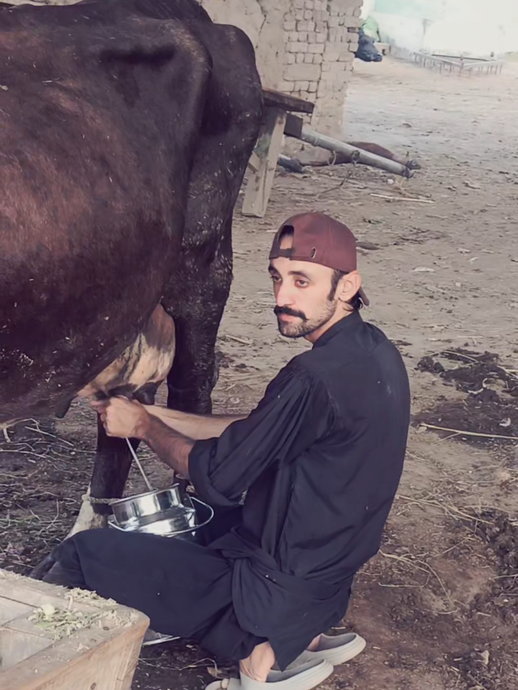 @سیدمحمد علی شاہ