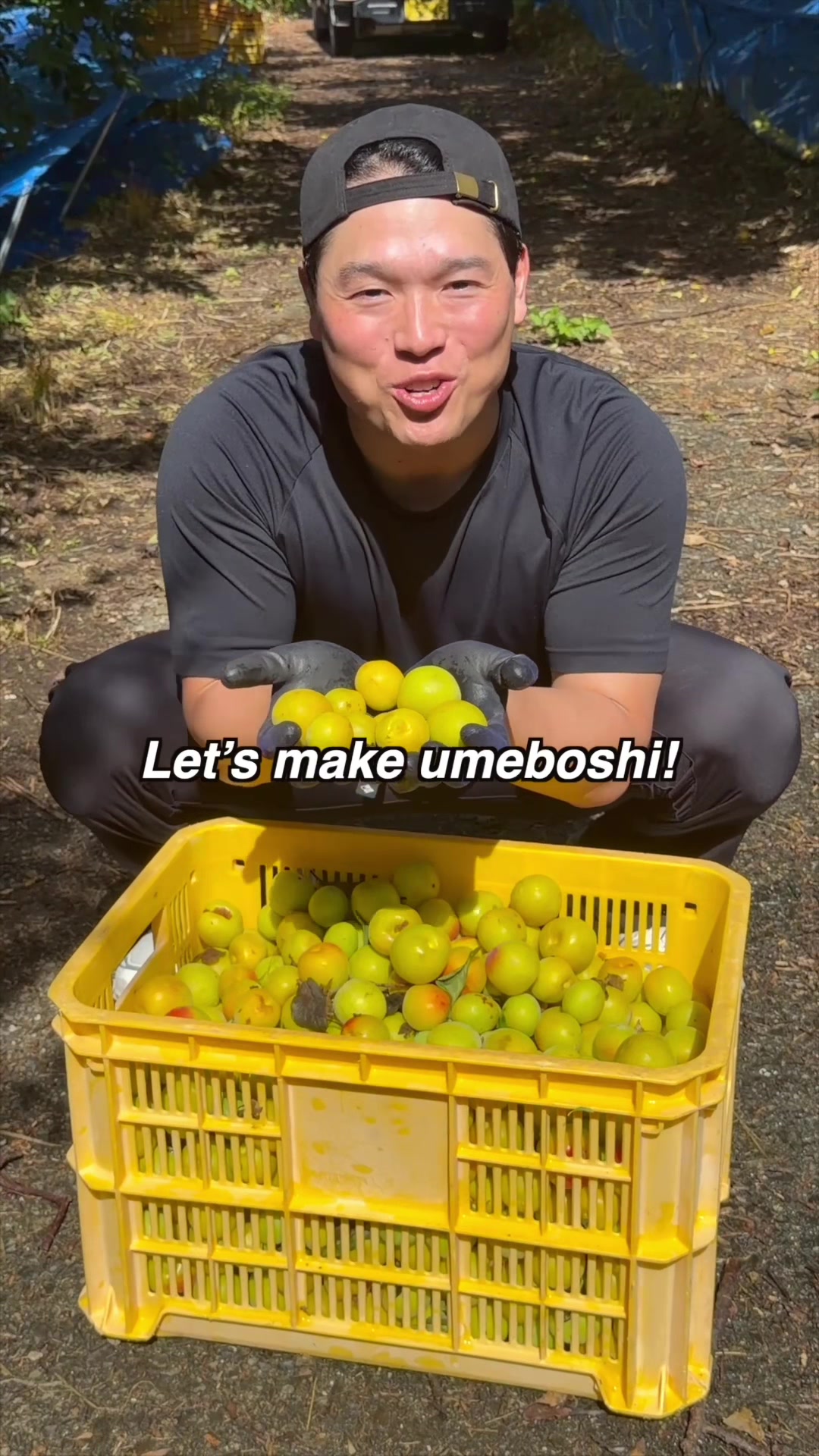 @バヤシ🥑Bayashi