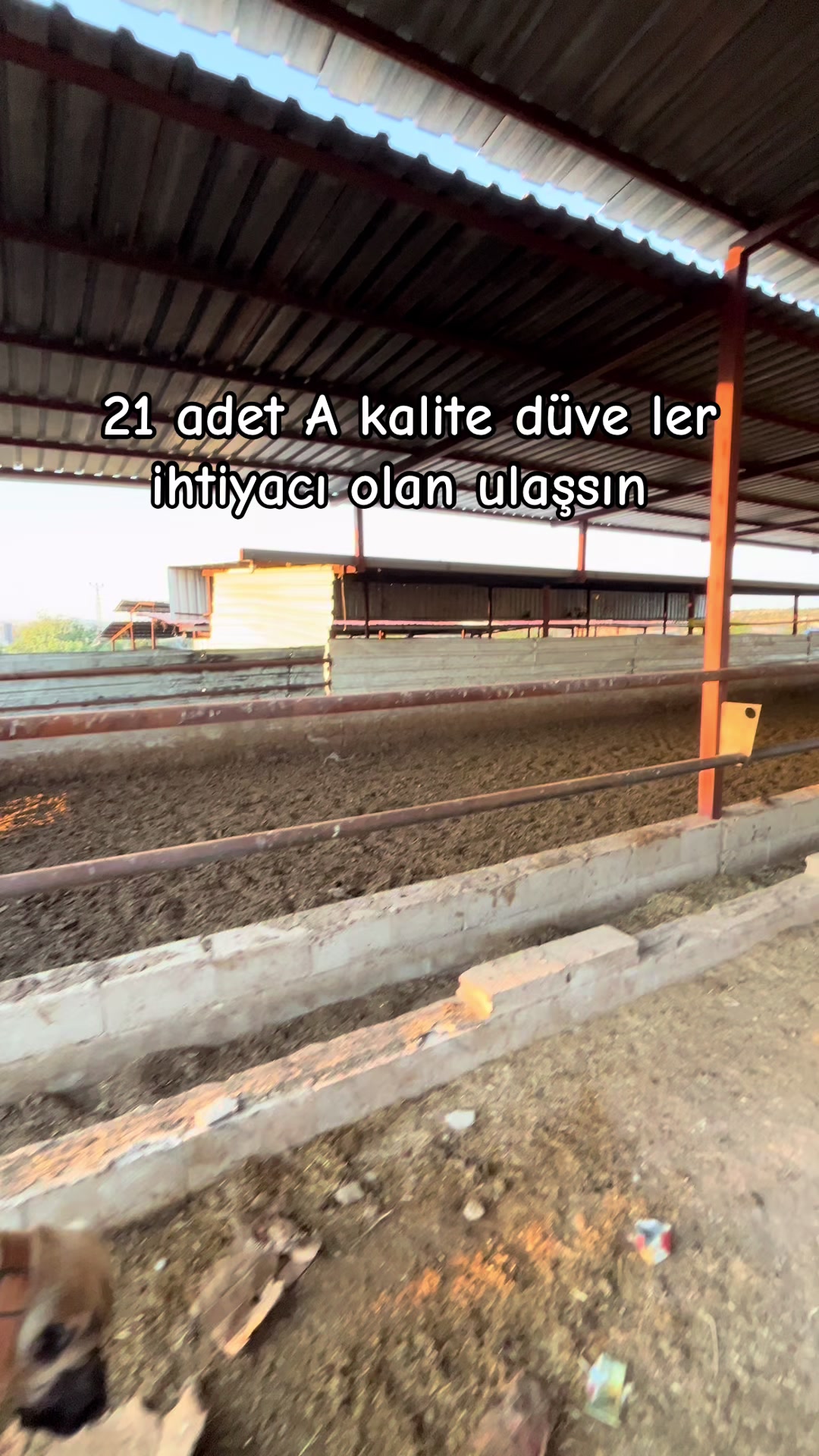 @GAZİANTEP BESİCİLİK